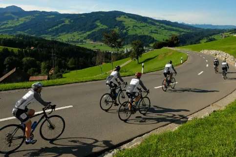 Participants in the 3000-km Country to Country for Cancer ride in Europe, 3-20 September 2021