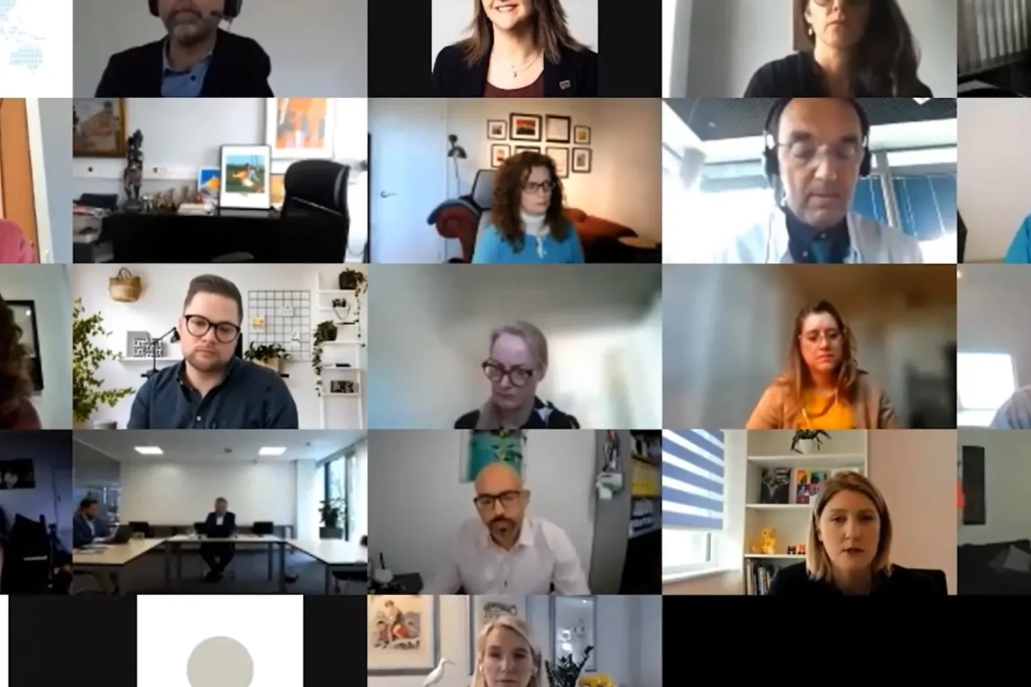 screenshot of CEO programme