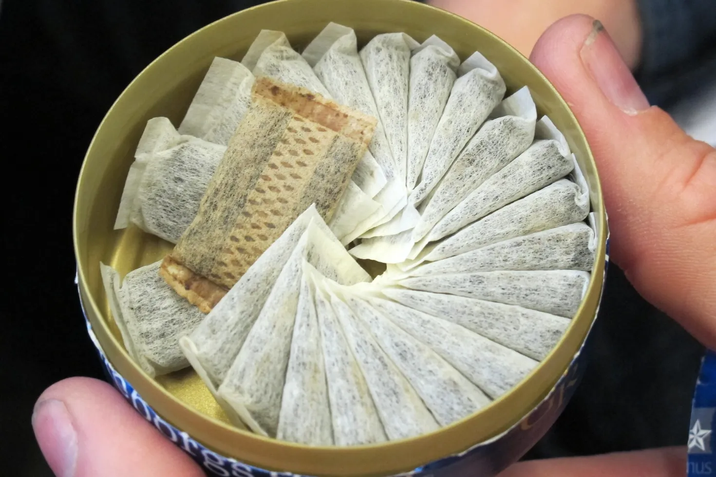 Open box of smokeless tobacco snus