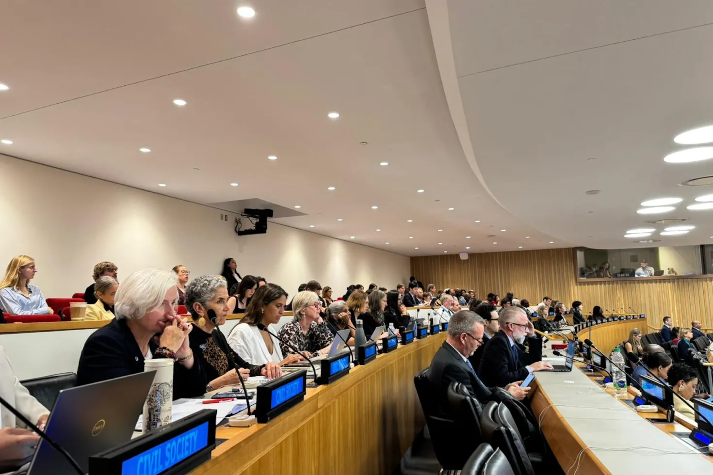 Civil society representatives at the UN high-level meeting on NCDs