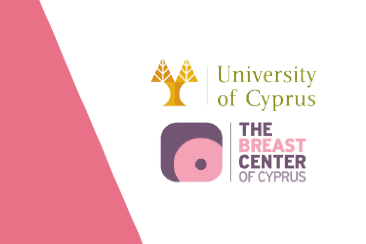 University of cyprus