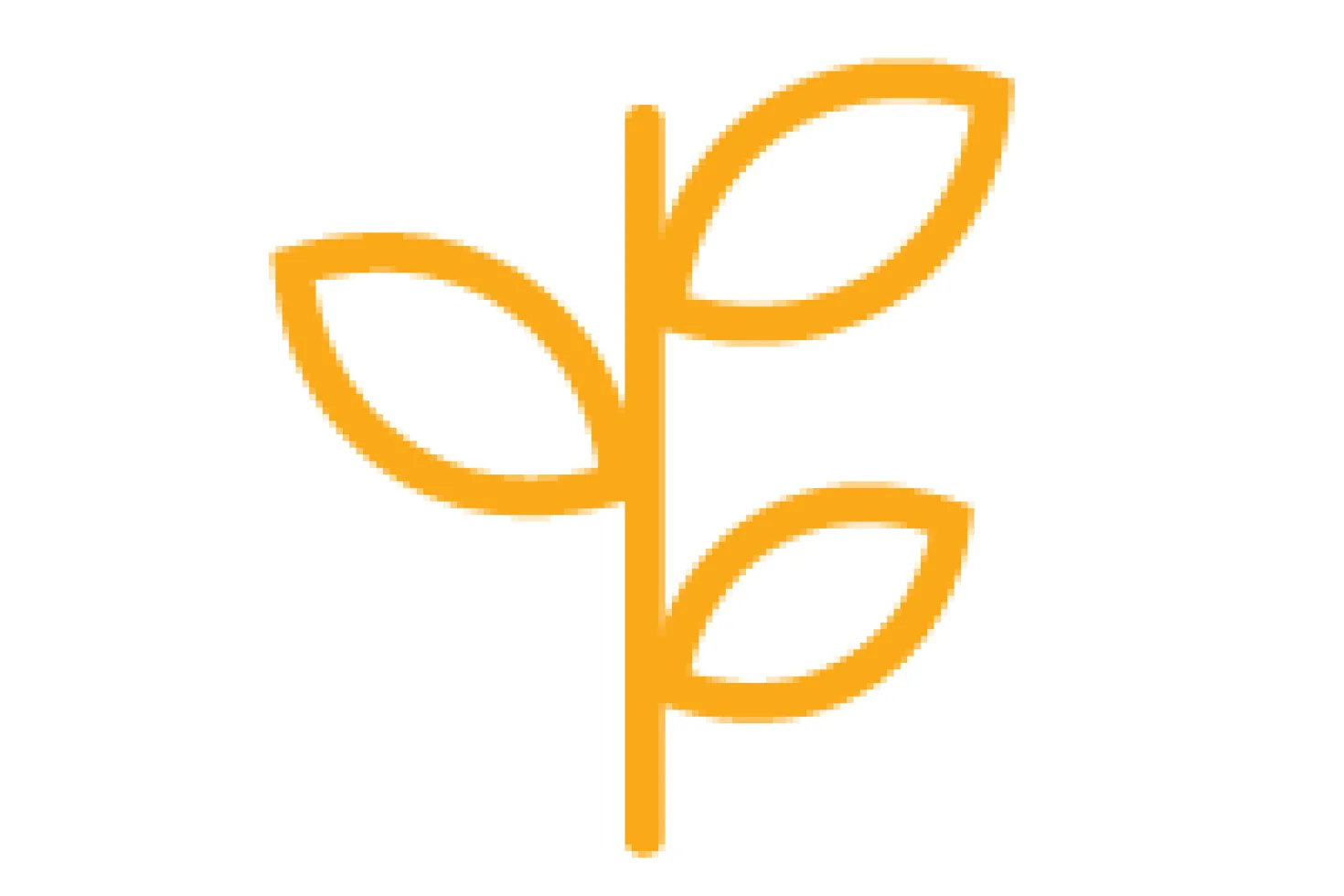 Capacity building icon