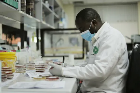 Researcher at his desk