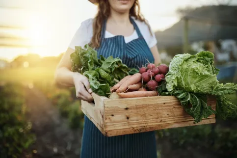 Cropped shot of an unrecognisable young white woman carrying a crate of vegetables