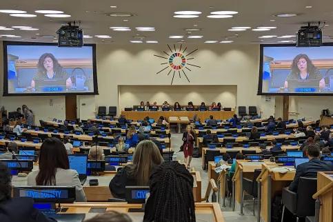 Conference hall at the UN, benches filled with people filmed from the back, on stage, a panel with six people flanked by two big screens