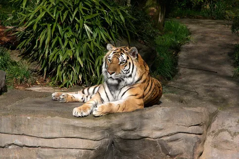 © brx0 - Flickr | CC BY-SA 2.0