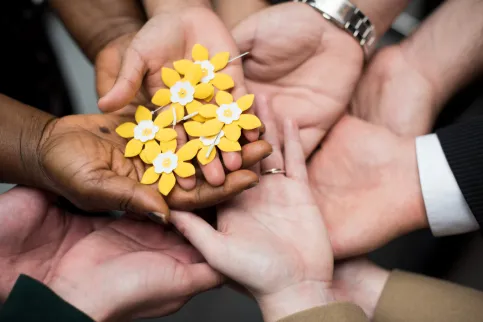 A group of hands holding yellow flowers that symbolise the Canadian Cancer Society