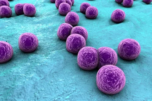 Bacteria Staphylococcus aureus on the surface of skin or mucous membrane. Staphylococcus aureus can be highly resistance to antibiotics.