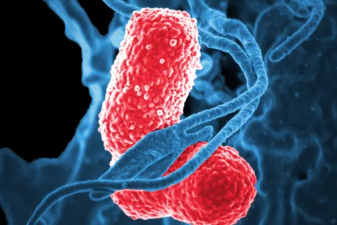 Antimicrobial resistance threatens cancer care
