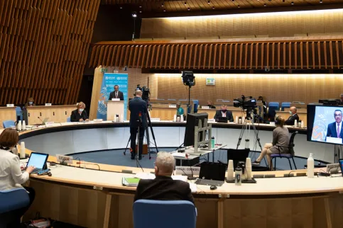 Virtual meeting of the 74th World Health Assembly