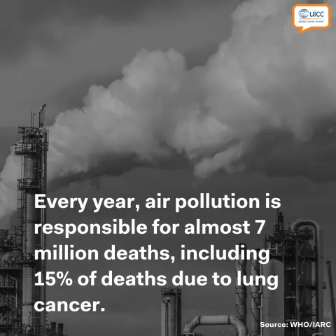 Deaths associated with air pollution 