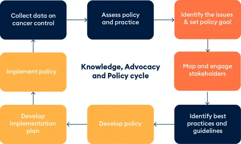 Knowledge, Advocacy and Policy cycle explained in a graphic illustration
