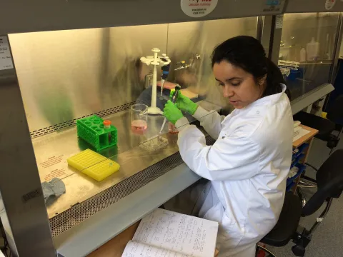 Pritha Paul, recipient in 2016 of a UICC-YY Fellowship grant, working in a lab