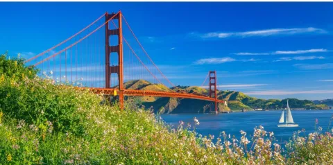 UCSF pediatric summit