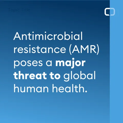 AMR