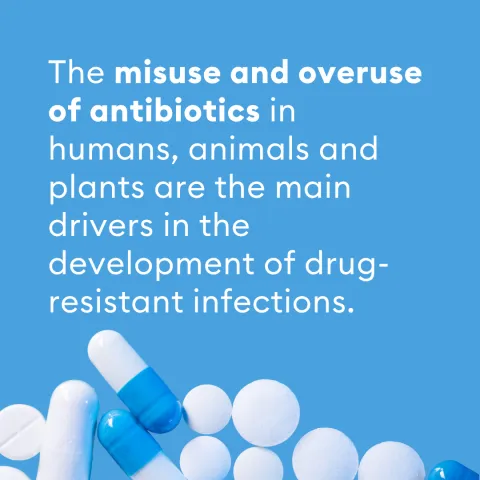 AMR
