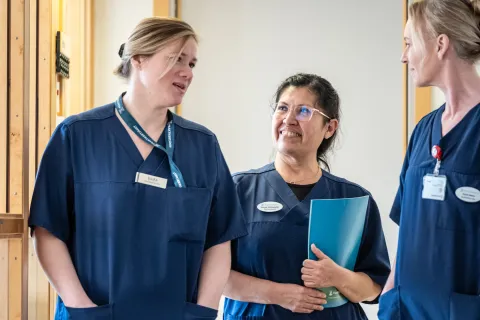 Groupe of health caregivers in blue clothes