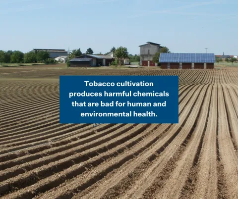 tobacco control image 8