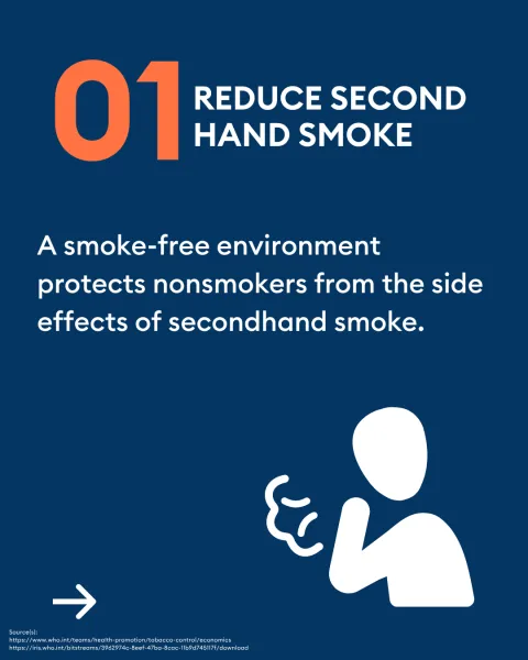 tobacco substitute herb Smoke Free Herbal Cocoa Cigarettes - 10 Packs Regular - 100% Tobacco &  Nicotine Free - Non Addictive
