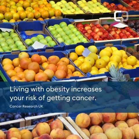 obesity 1