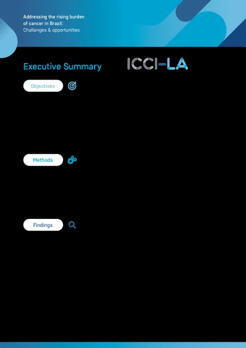 ICCI-LA Brazil Executive Summary English.pdf