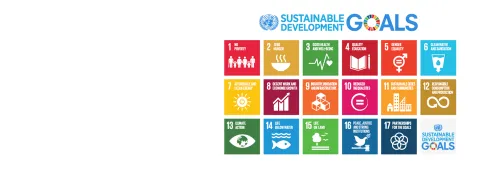 Adoption of SDGs at the UN General Assembly
