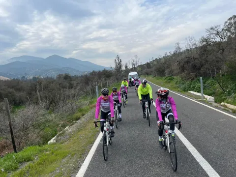 A group of cyclists biking uphill on the road
