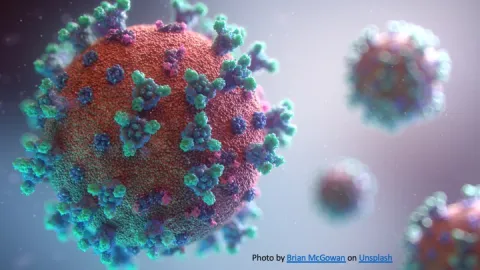 COVID-19 by Brian McGowan Cancer and the Coronavirus COVID-19