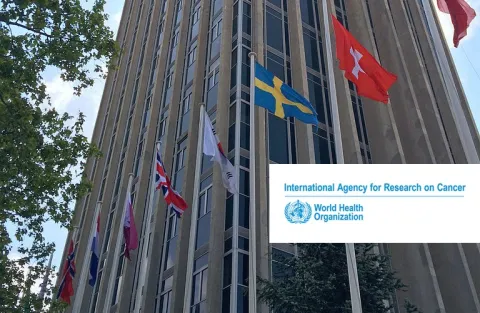 IARC Headquarters by Rystheguy Attribution-ShareAlike 3.0 Unported (CC BY-SA 3.0) IARC Headquarters by Rystheguy Attribution-ShareAlike 3.0 Unported (CC BY-SA 3.0)
