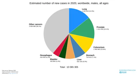 GLOBOCAN 2020, men's cancers GLOBOCAN 2020, men's cancers