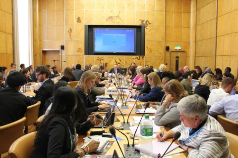 Side Event on making the right investments for cancer control at the 69th WHA