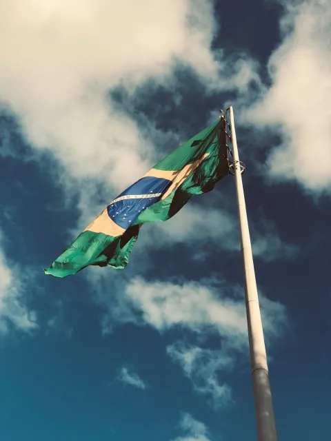 Brazilian flag Brazilian flag
