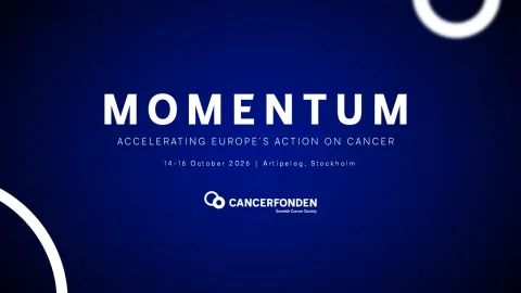 momentum-2026_header.jpg