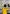 Two children, back to the camera, one in yellow t-shirt, other in great sweatshirt, look at a wall of photos