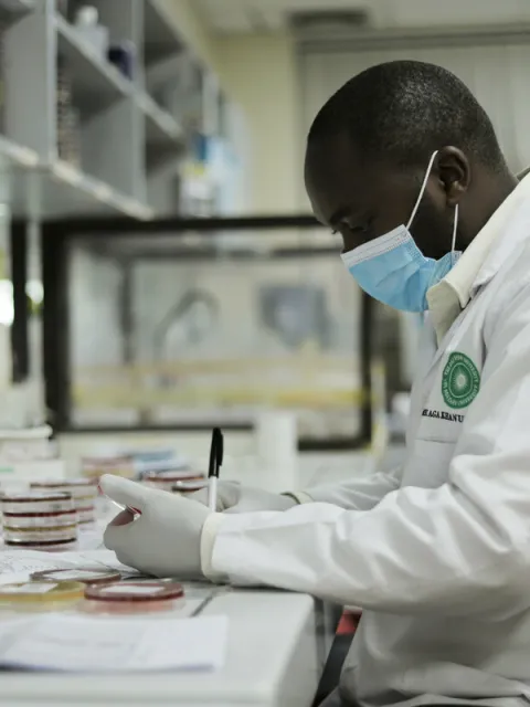 Researcher at his desk
