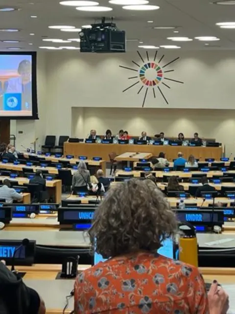 Auditorium with two large screens above the speakers at the UN in New York for the high-level meeting on universal health coverage