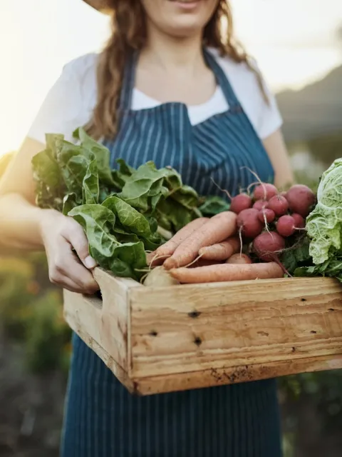 Cropped shot of an unrecognisable young white woman carrying a crate of vegetables