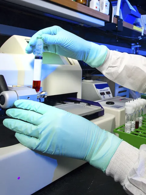 Close up of gloved hands of a lab clinician handling a blood test