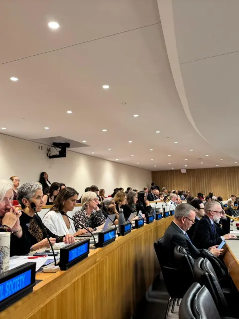 Civil society representatives at the UN high-level meeting on NCDs
