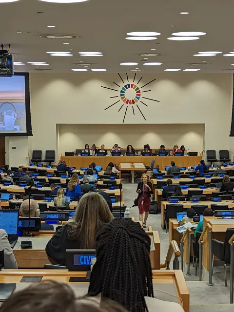 Conference hall at the UN, benches filled with people filmed from the back, on stage, a panel with six people flanked by two big screens