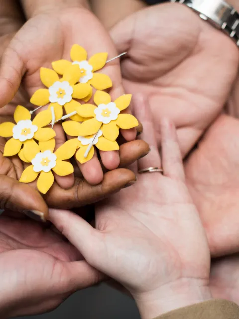 A group of hands holding yellow flowers that symbolise the Canadian Cancer Society