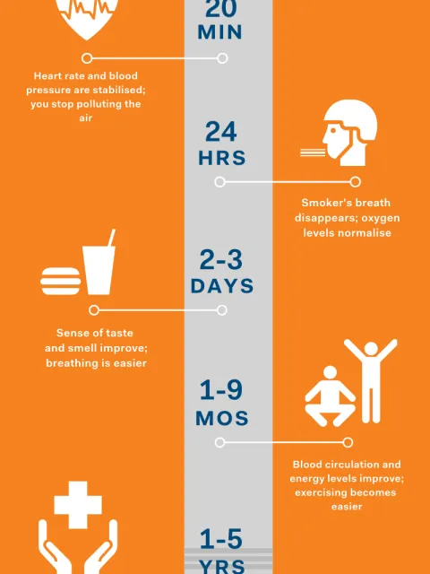 Quit smoking timeline infographic Quit smoking timeline infographic