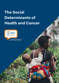Report on Social Health Determinants