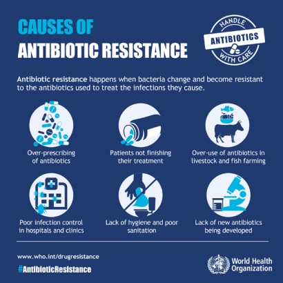 Antimicrobial Resistance - Wikipedia