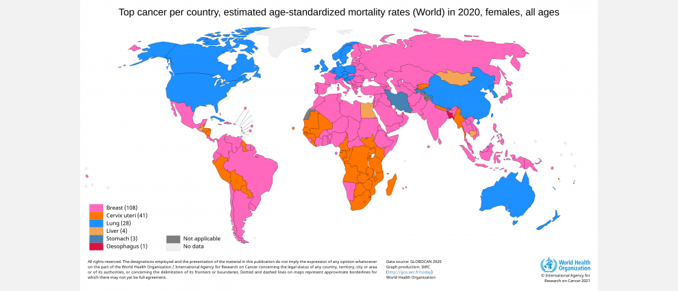 top_mortality_for_women_breast_cancer.png
