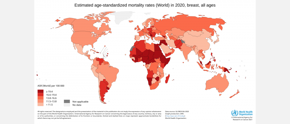 WorldMapGraph-Estimated-age-standardized-mortality-rates-(World)-in-2020,-breast,-females,-all-ages.png