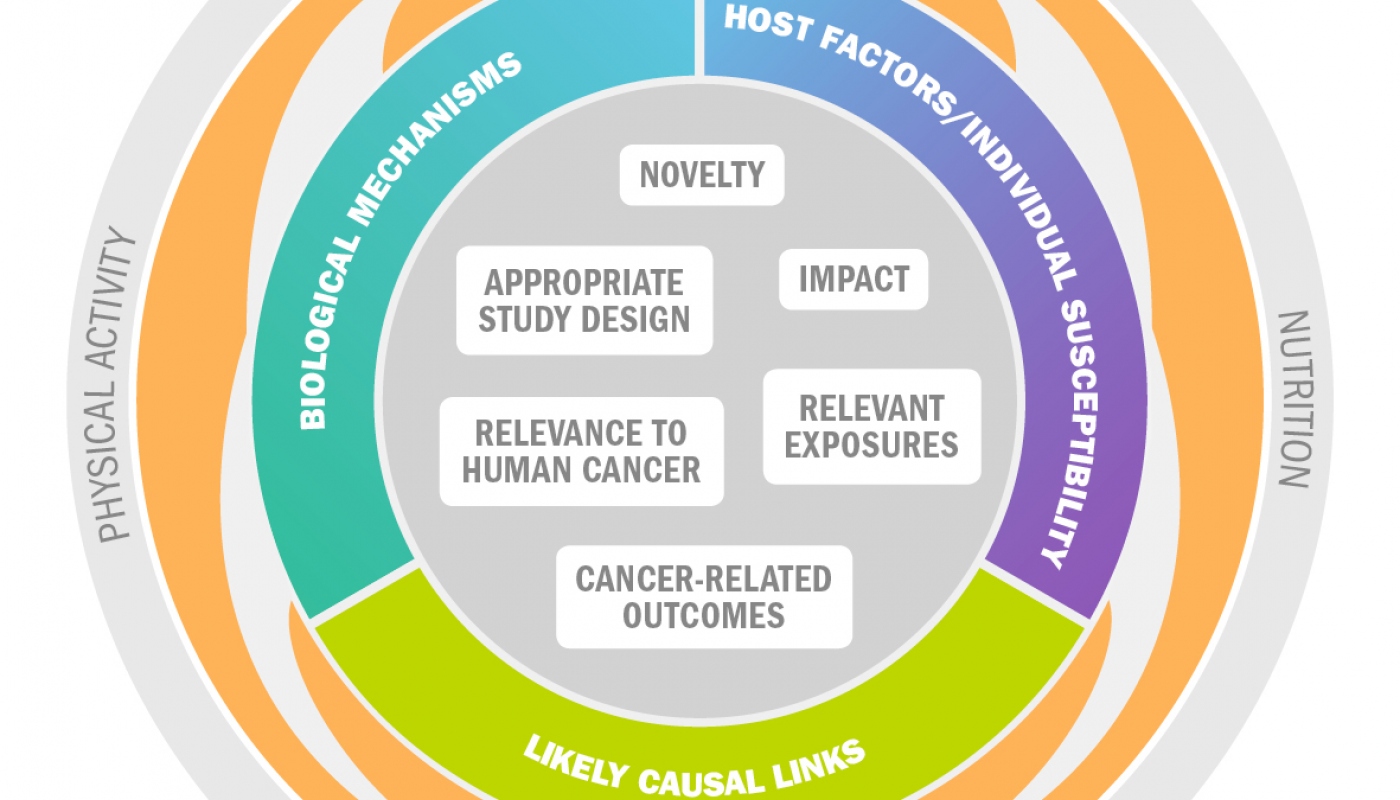Apply For A Research Grant | Uicc