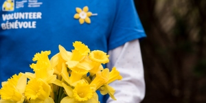 Cropped person holding yellow flowers that symbolise the Canadian Cancer Society.