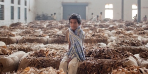 Young boy sitting on a pile of tobacco leaves